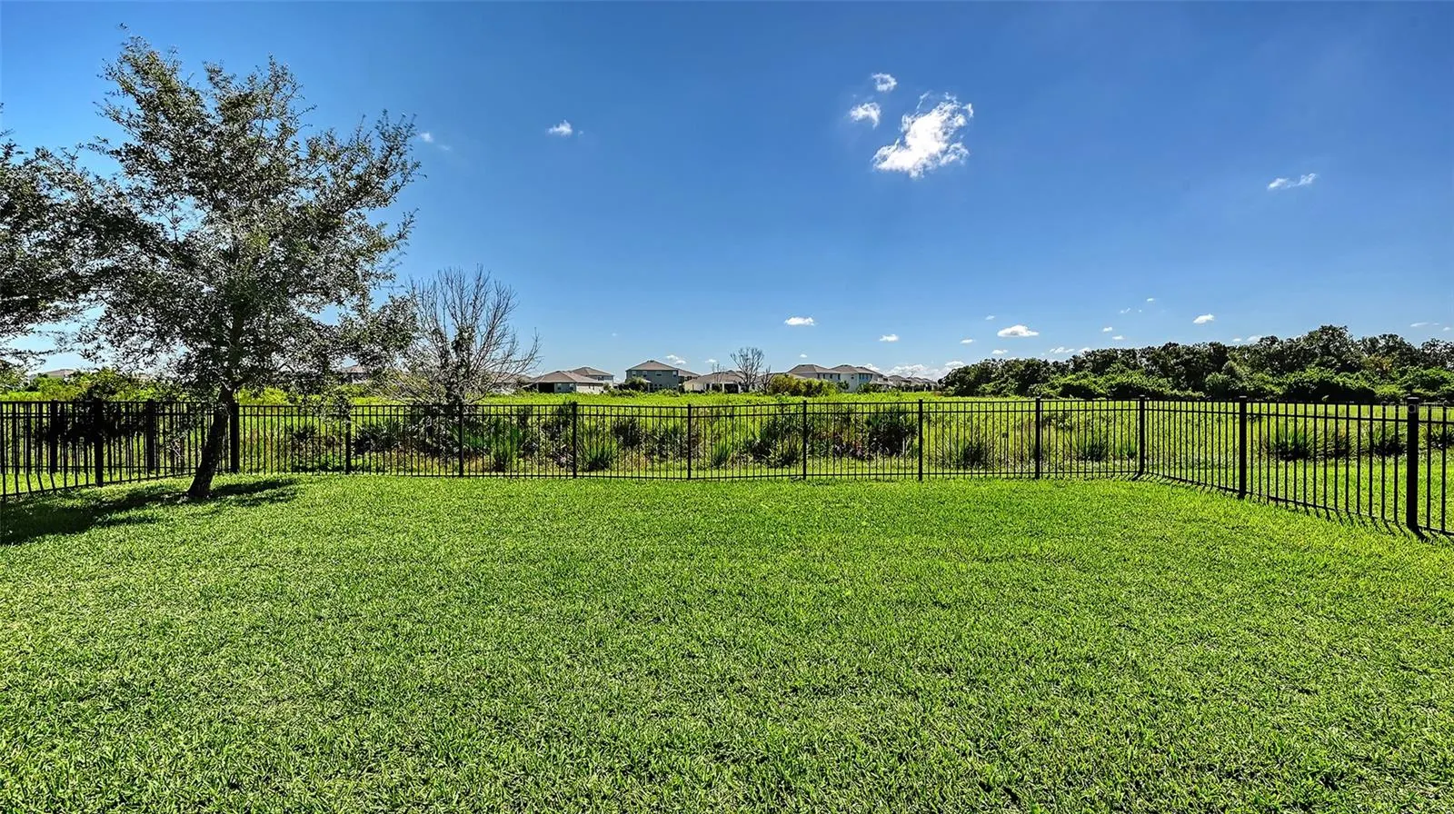 17326 HARVEST MOON WAY