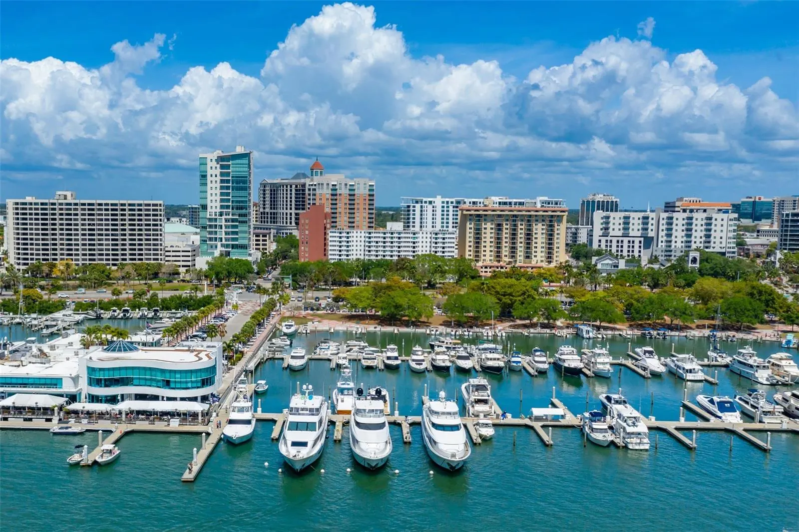 111 S PINEAPPLE AVE #1013, #1013