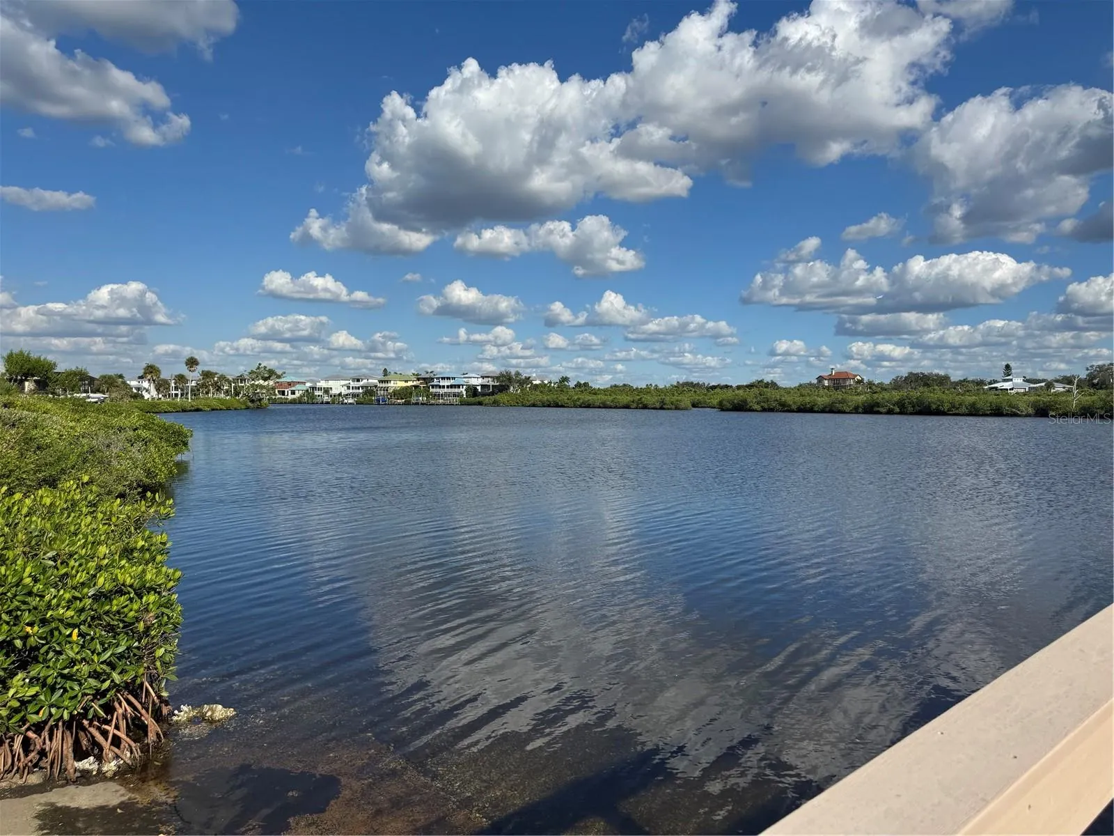 41 LAFITTE DR