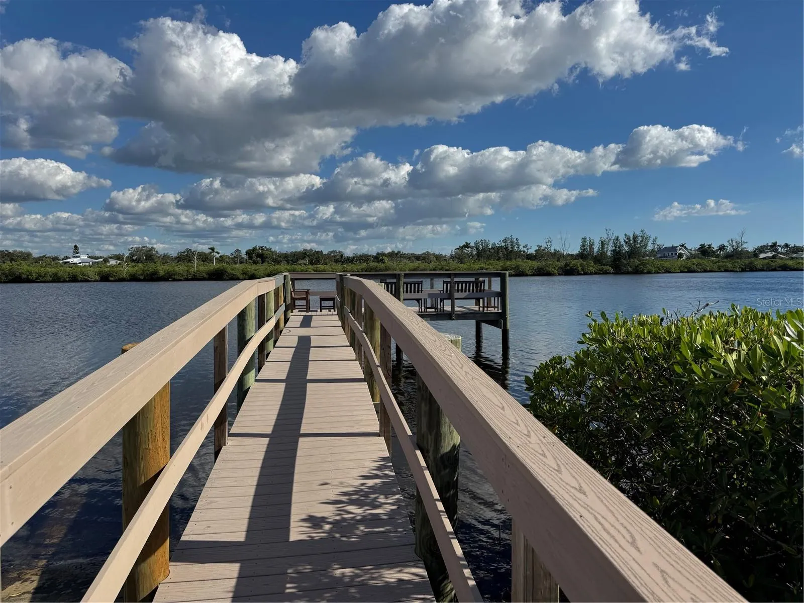 41 LAFITTE DR