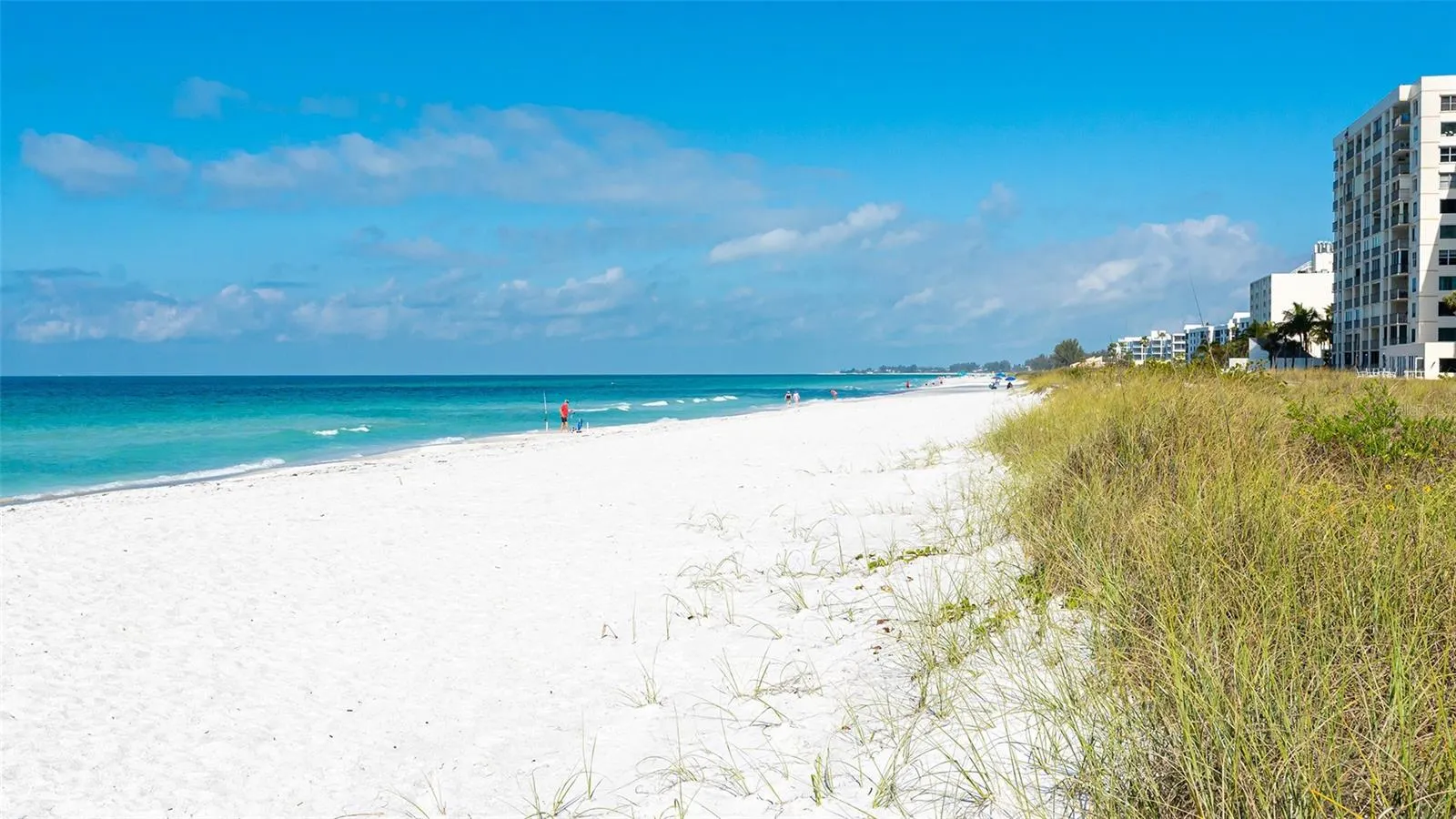 4325 GULF OF MEXICO DR #305 #305