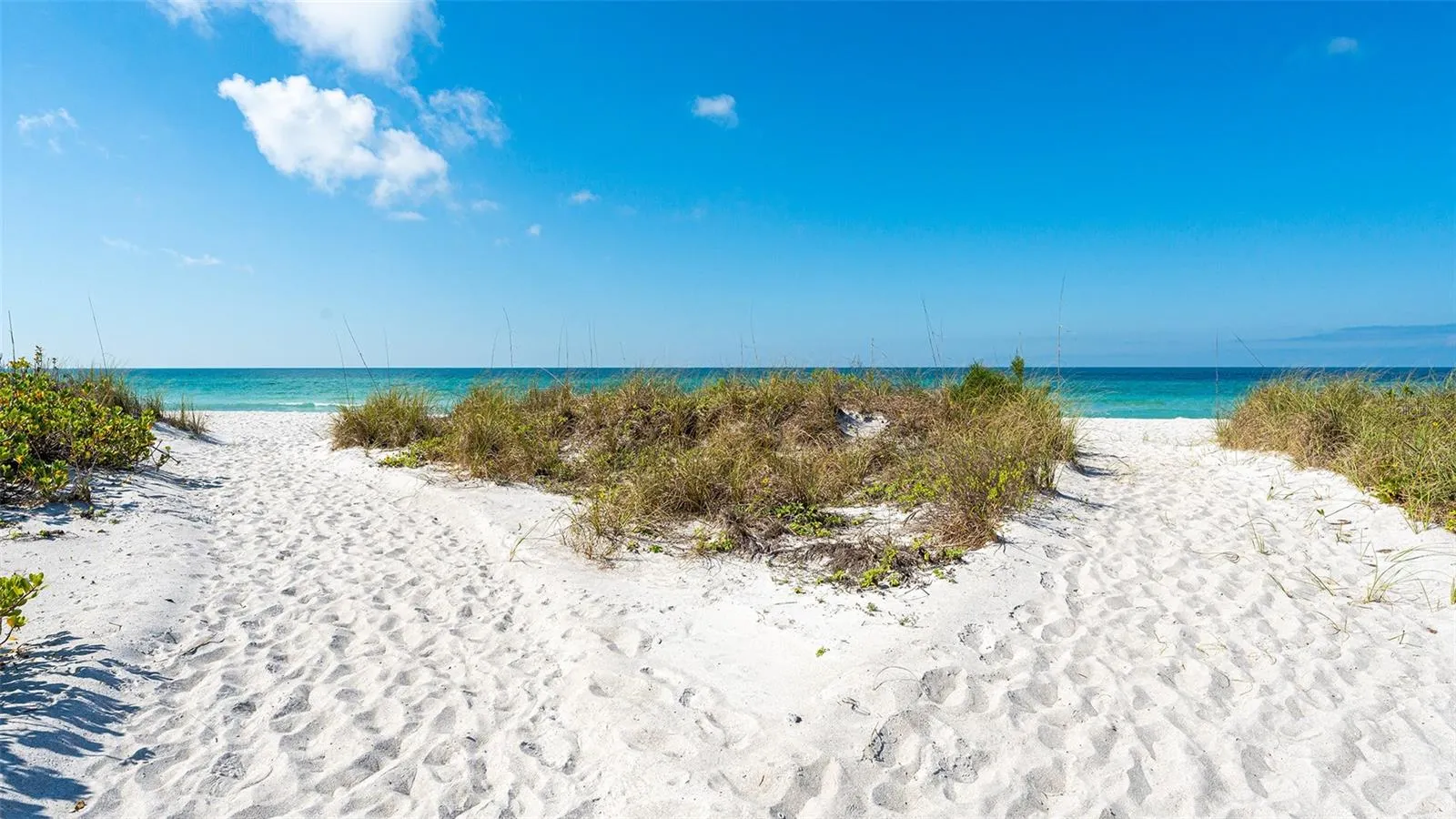 4325 GULF OF MEXICO DR #305 #305