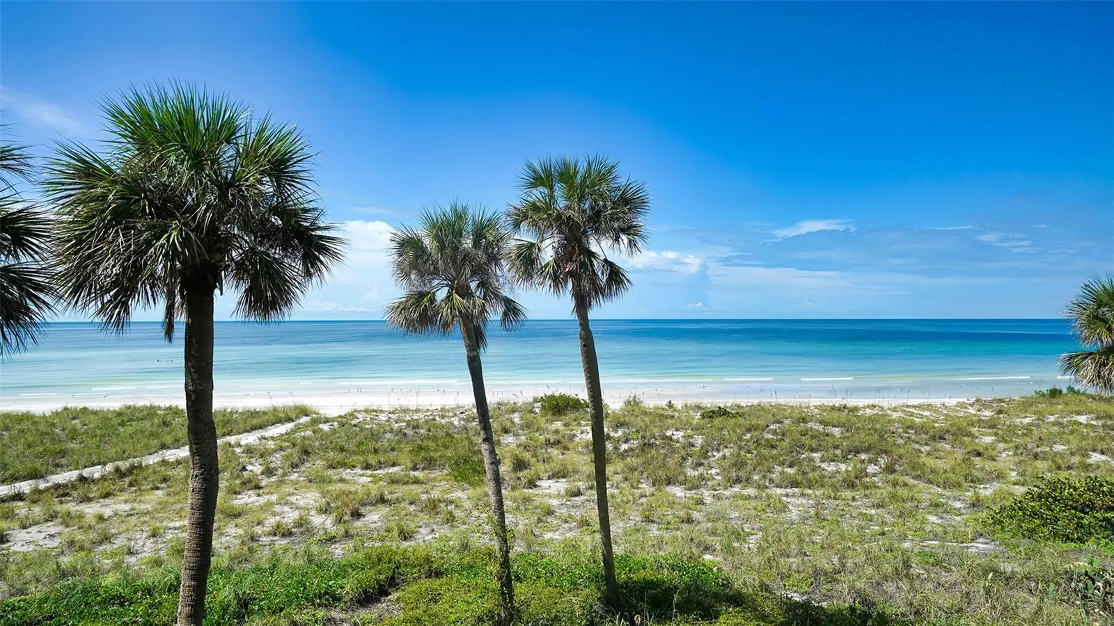 4325 GULF OF MEXICO DR #305 #305