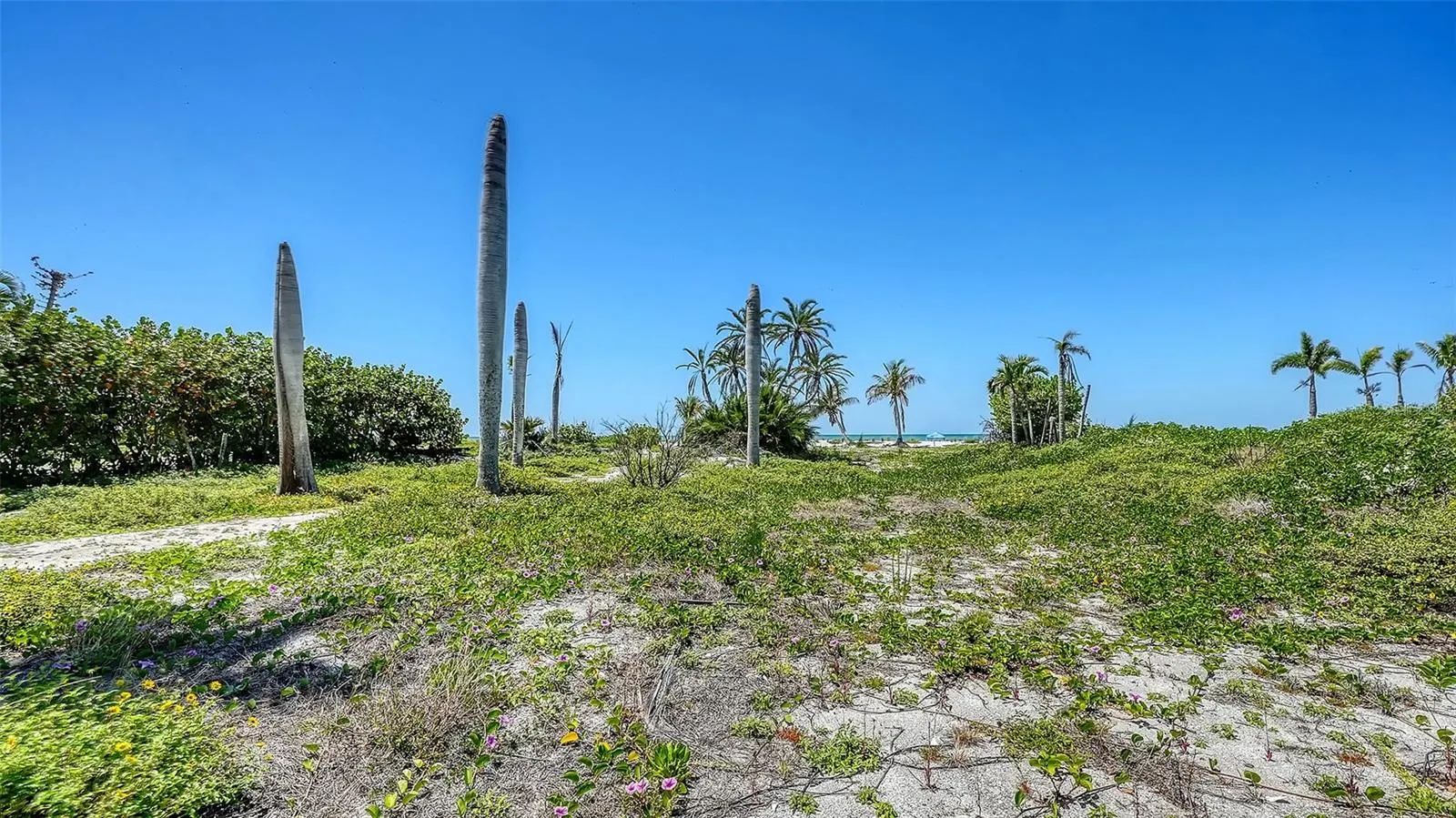 6441 GULFSIDE RD