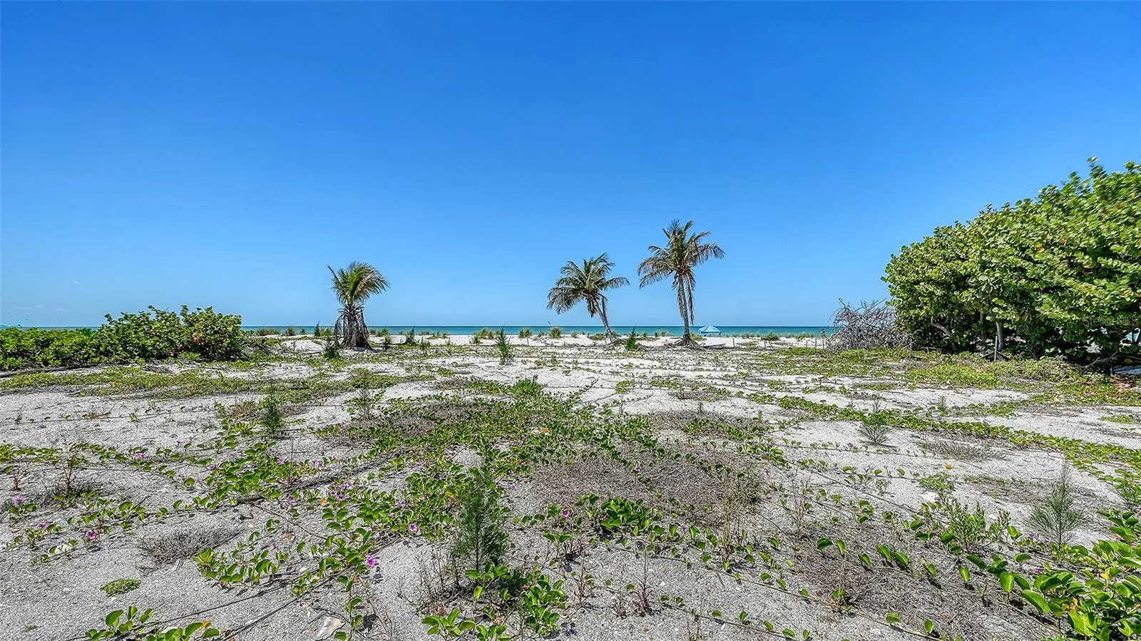 6441 GULFSIDE RD