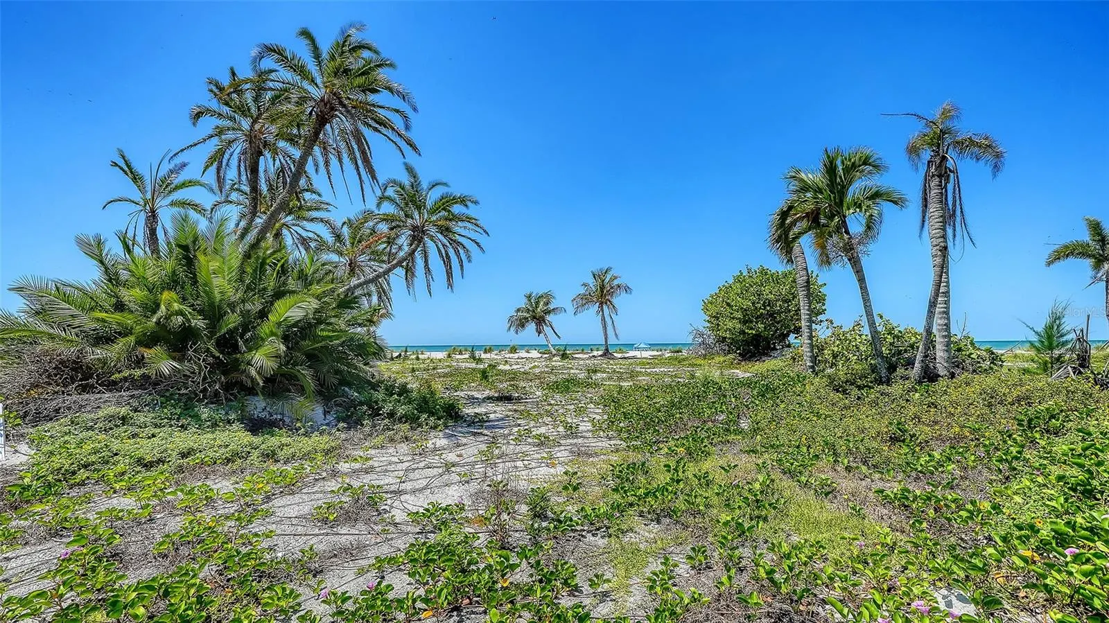 6441 GULFSIDE RD