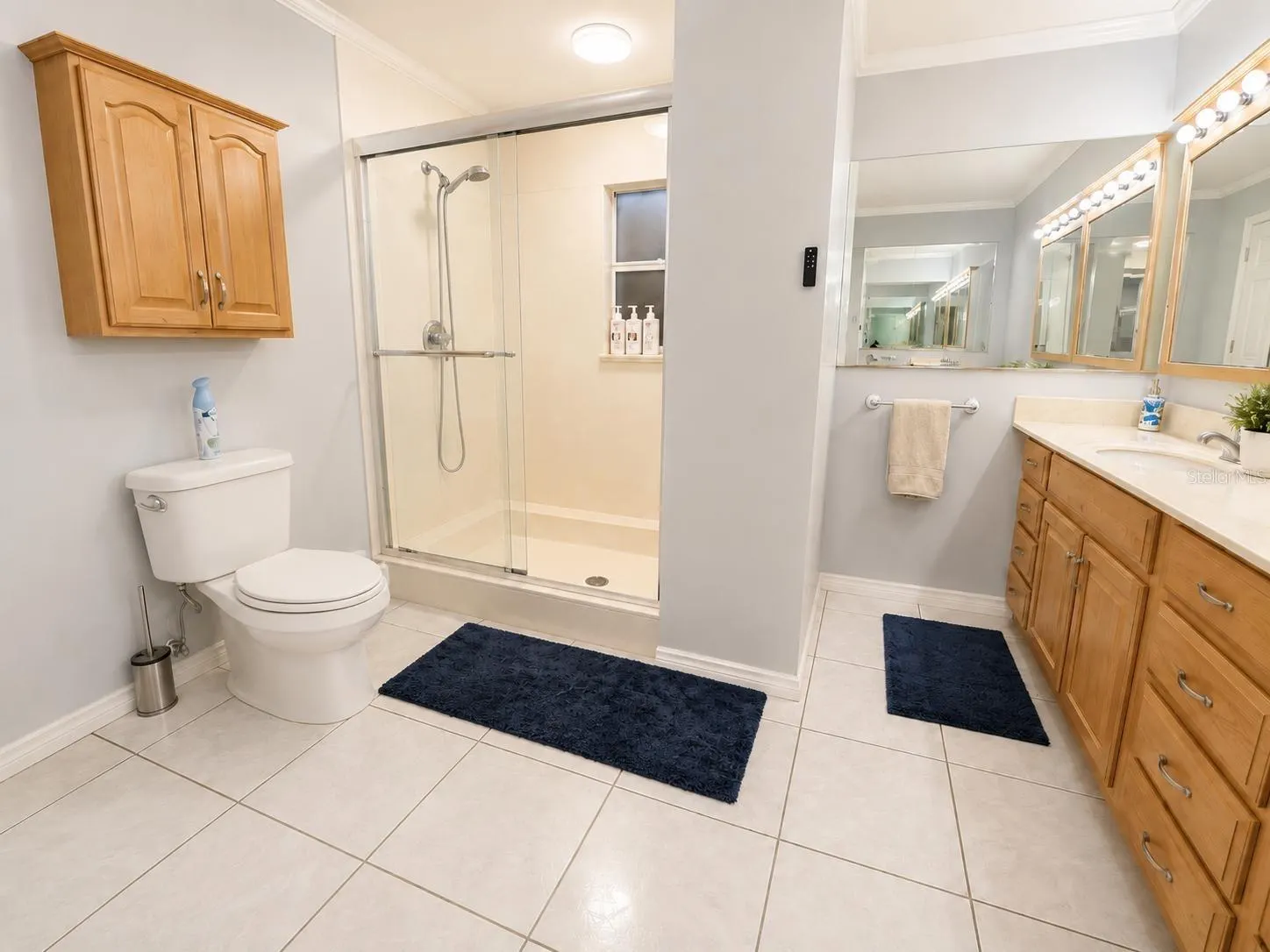 1205 LISA LN