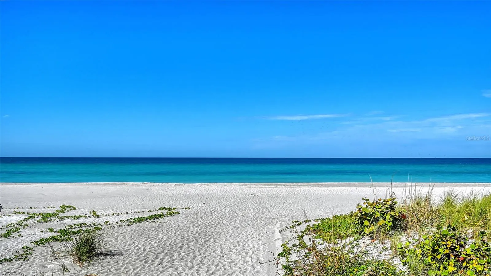 4325 GULF OF MEXICO DR #103 #103