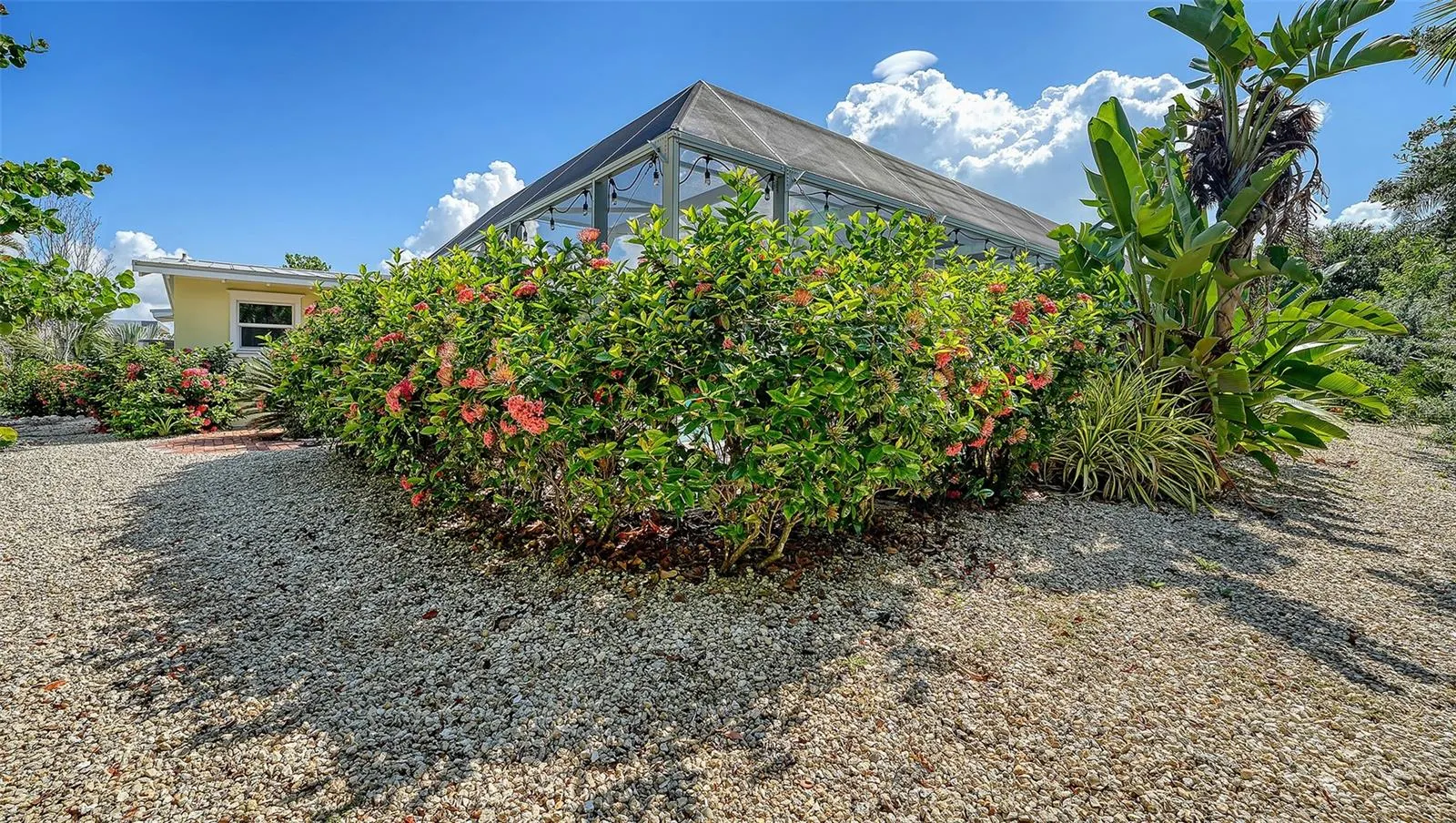 602 BUTTONWOOD DR