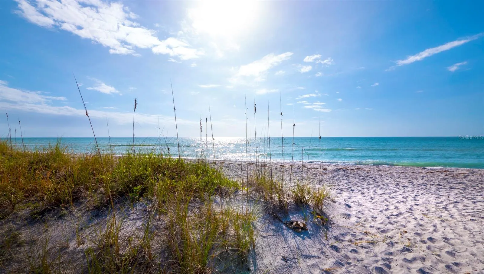 3040 GRAND BAY BLVD #225 #225
