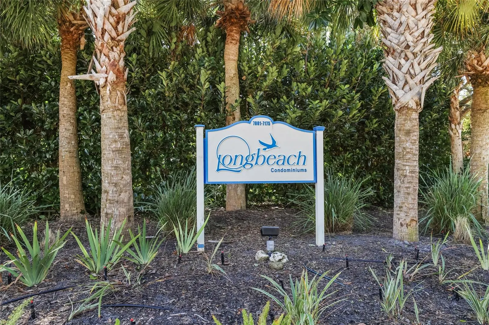 7001 GULF OF MEXICO DR #24 #24