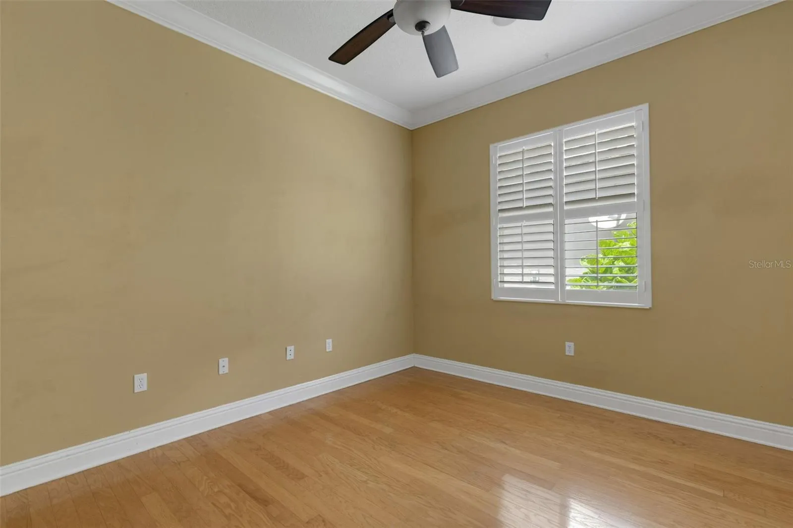 299 TURQUOISE LN
