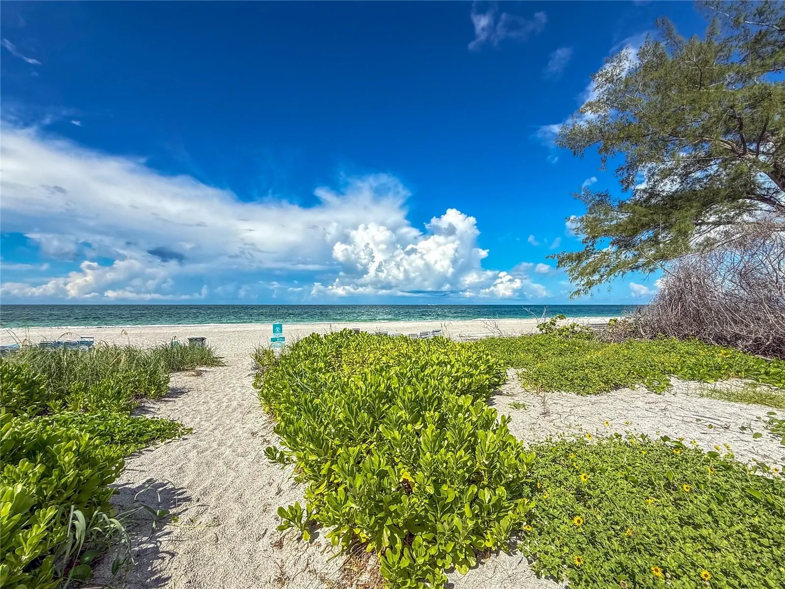 5310 GULF OF MEXICO DR #16 #16
