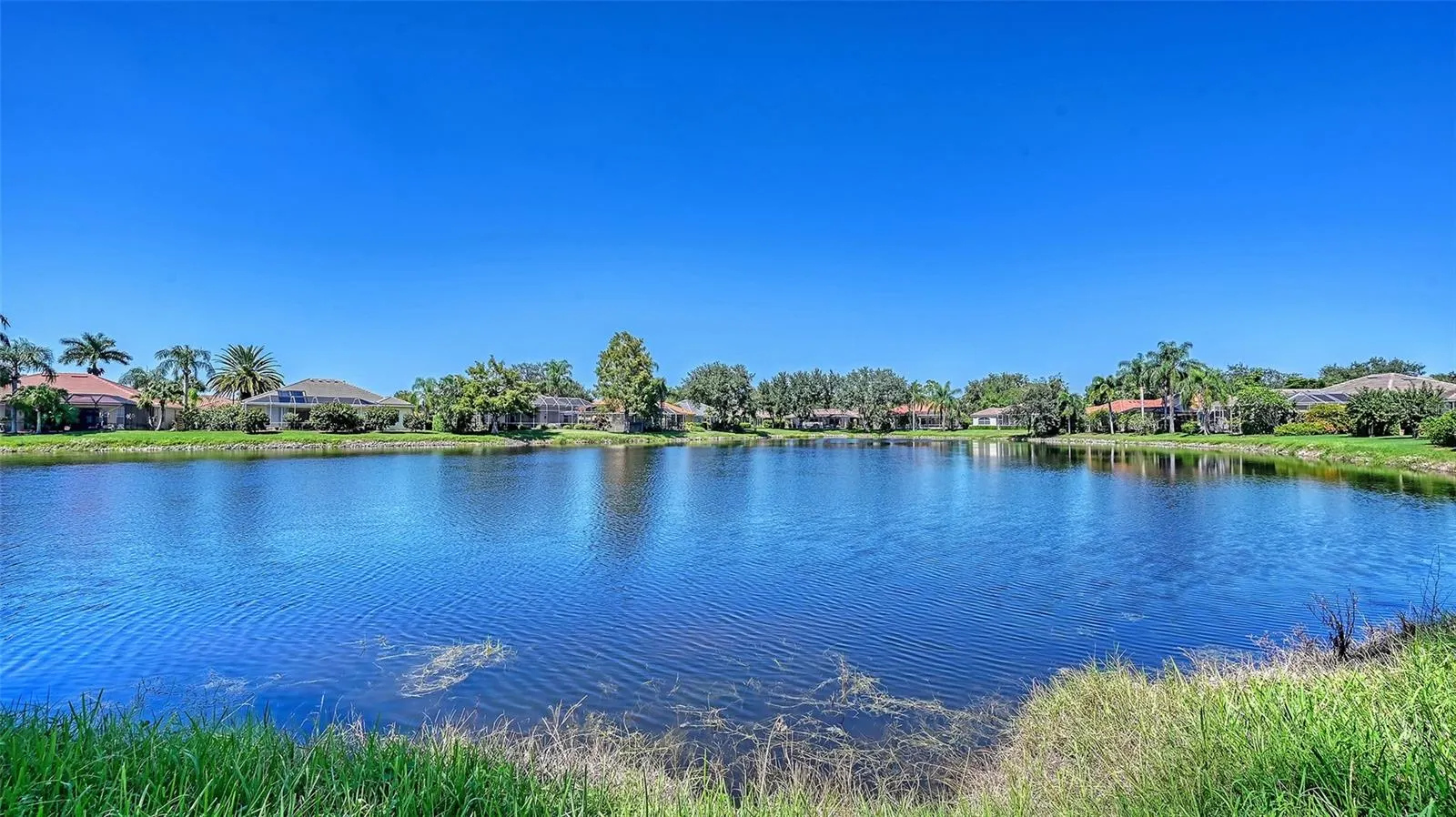 335 PARK TRACE BLVD