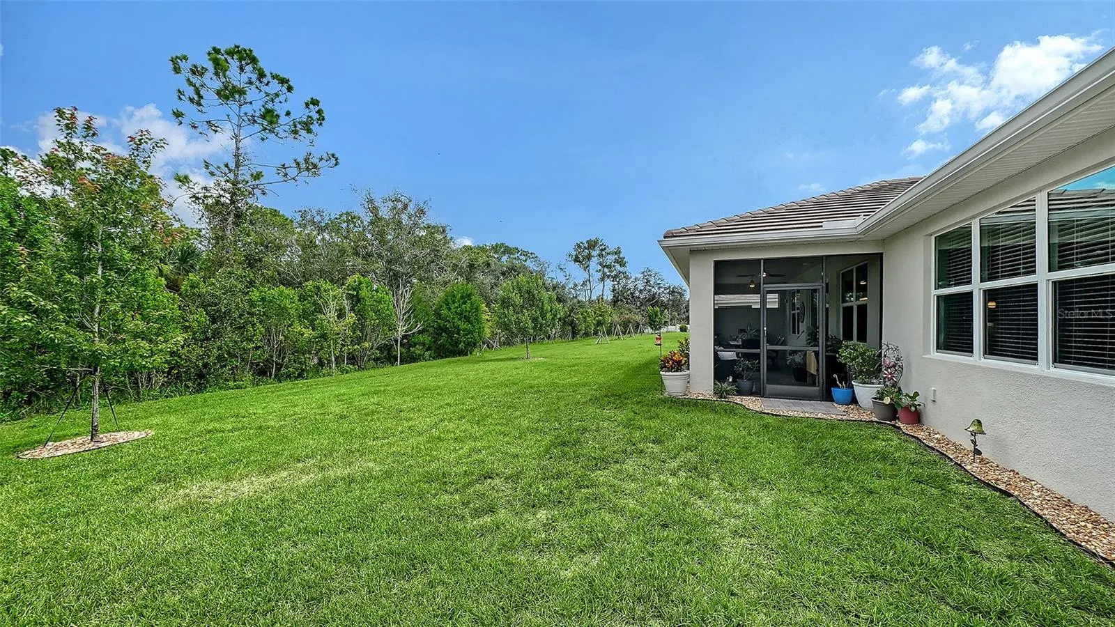 469 BANEBERRY CT