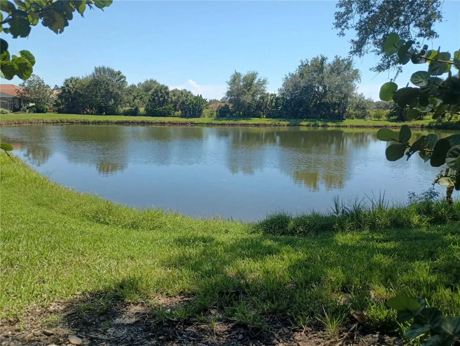 1328 THORNAPPLE DR
