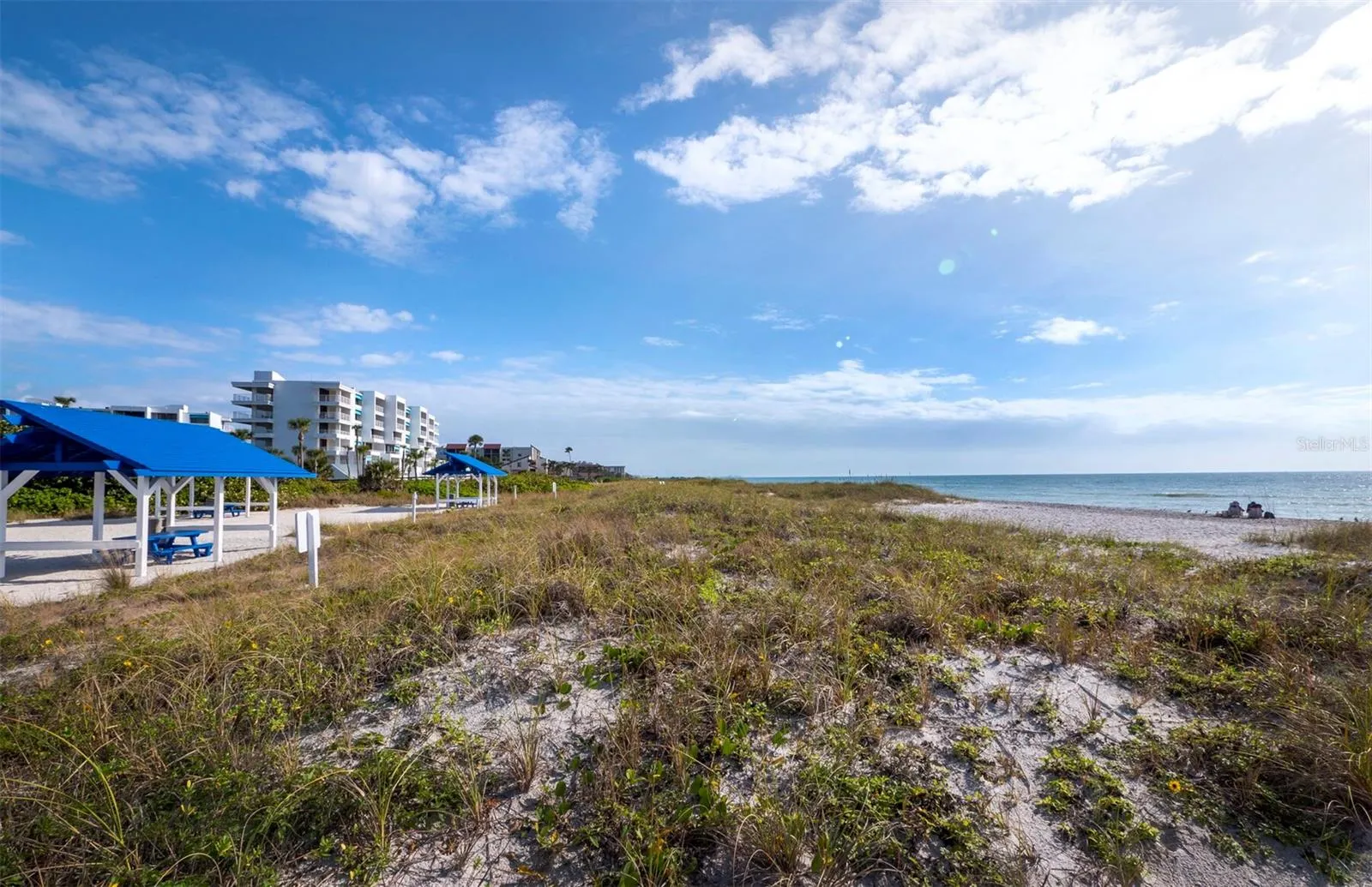 2020 HARBOURSIDE DR #442 #442