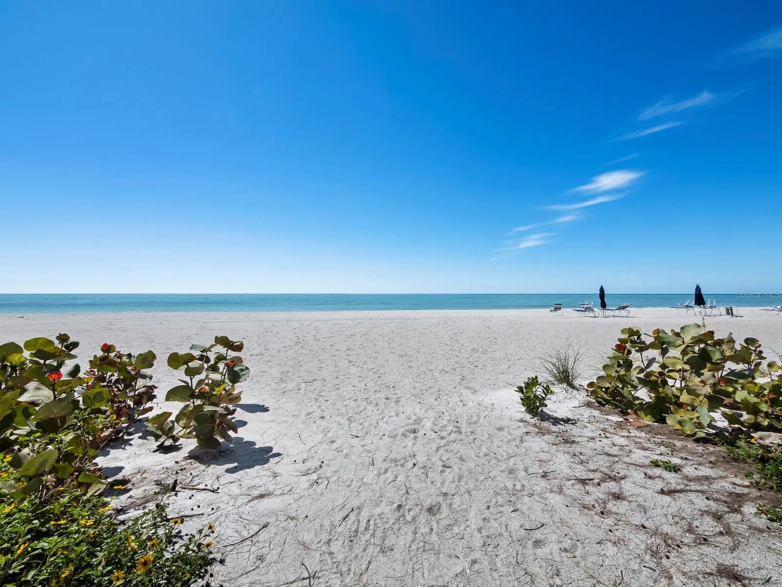 5055 GULF OF MEXICO DR #115 #115