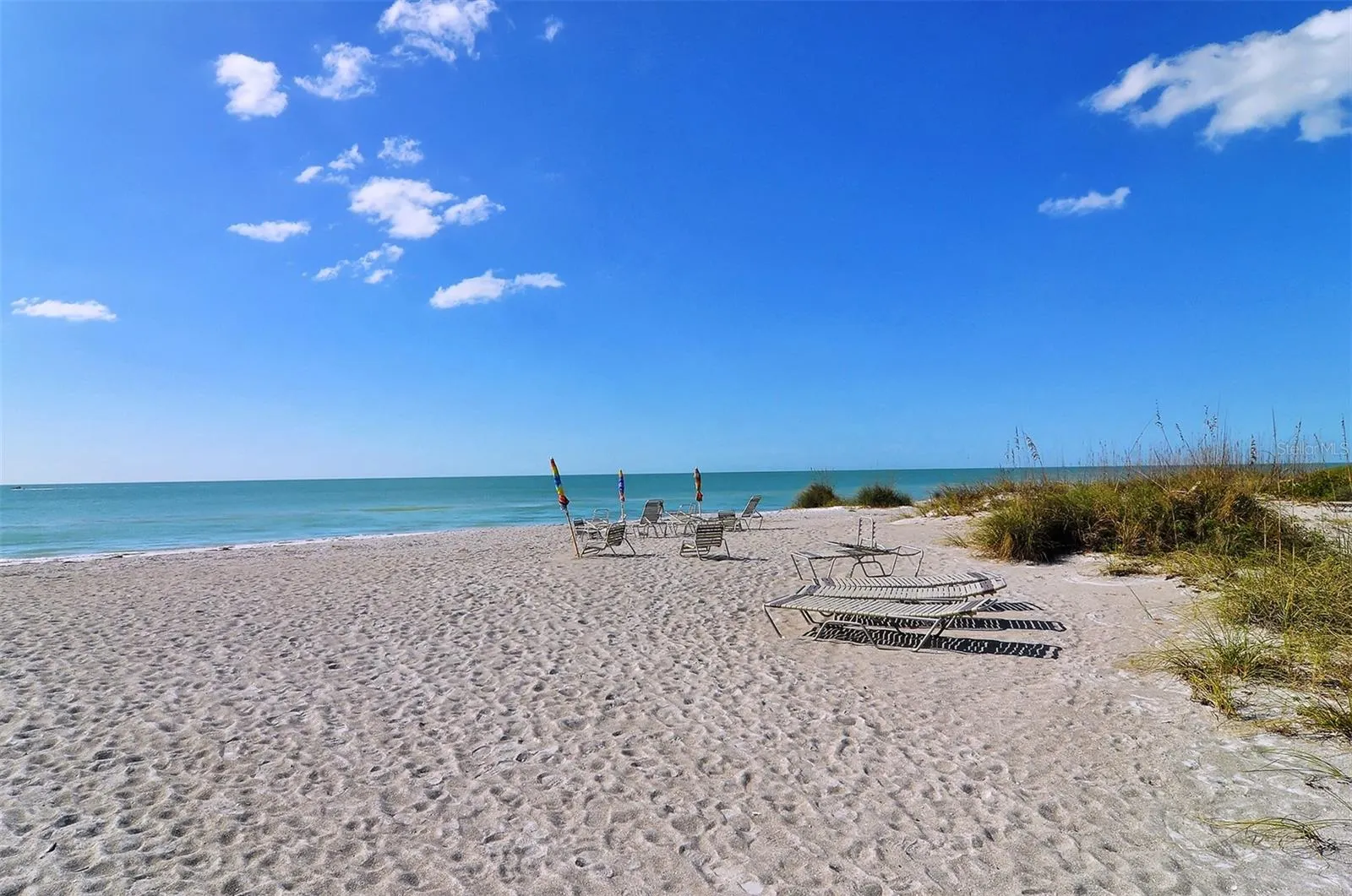 4525 GULF OF MEXICO DR #204 #204