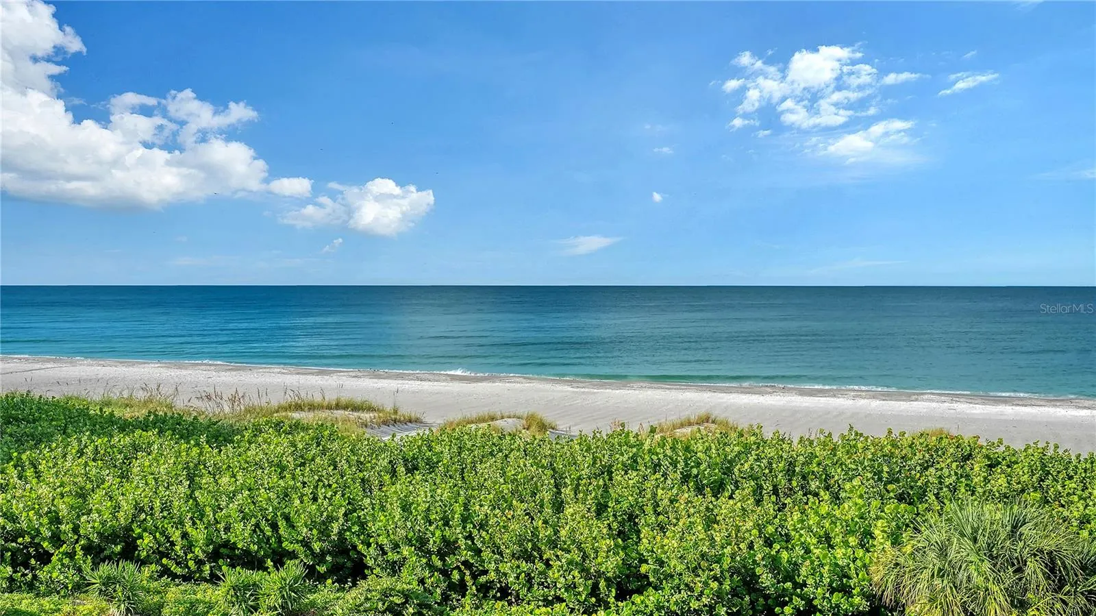 4525 GULF OF MEXICO DR #204 #204
