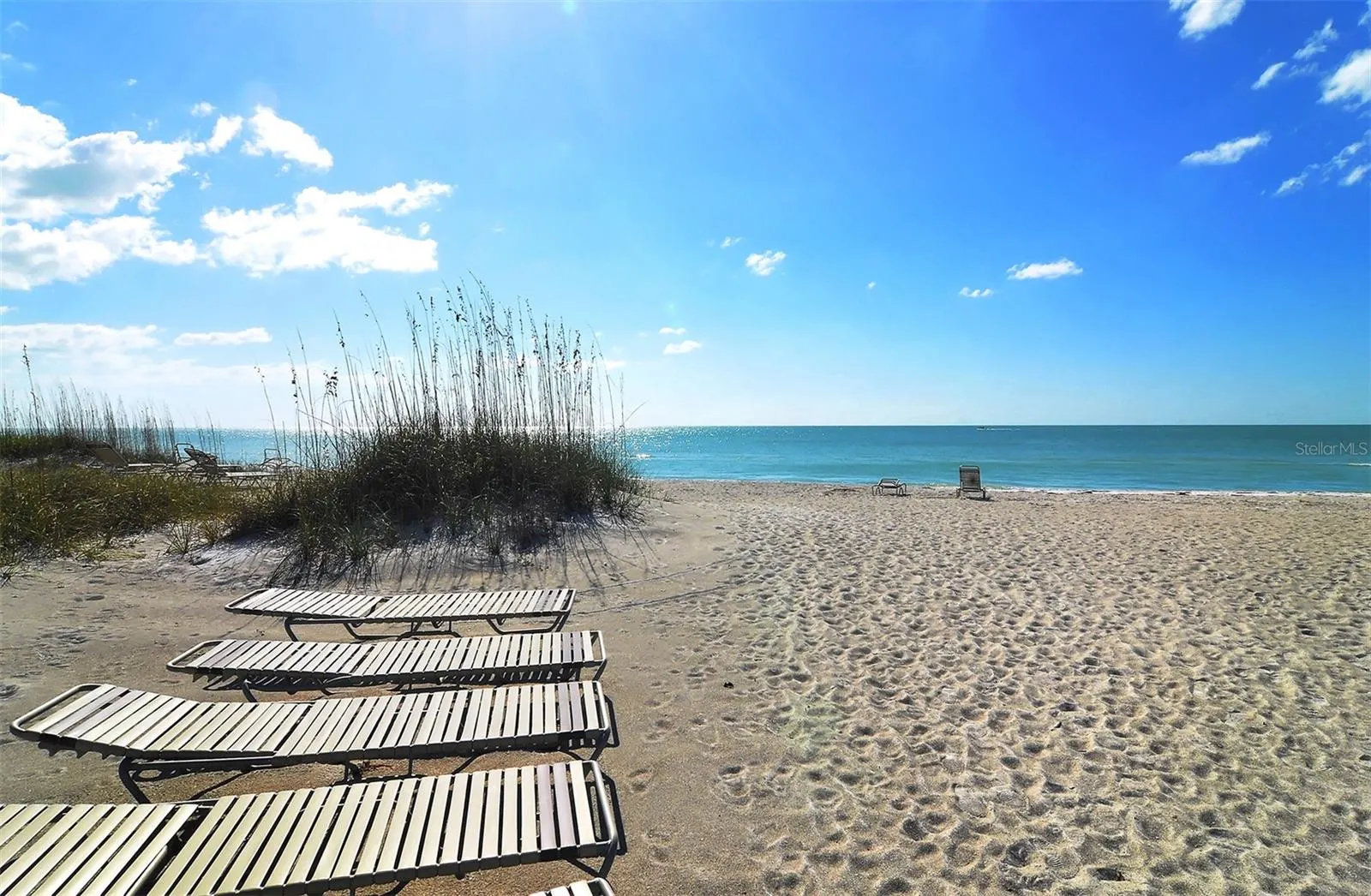 4525 GULF OF MEXICO DR #204 #204