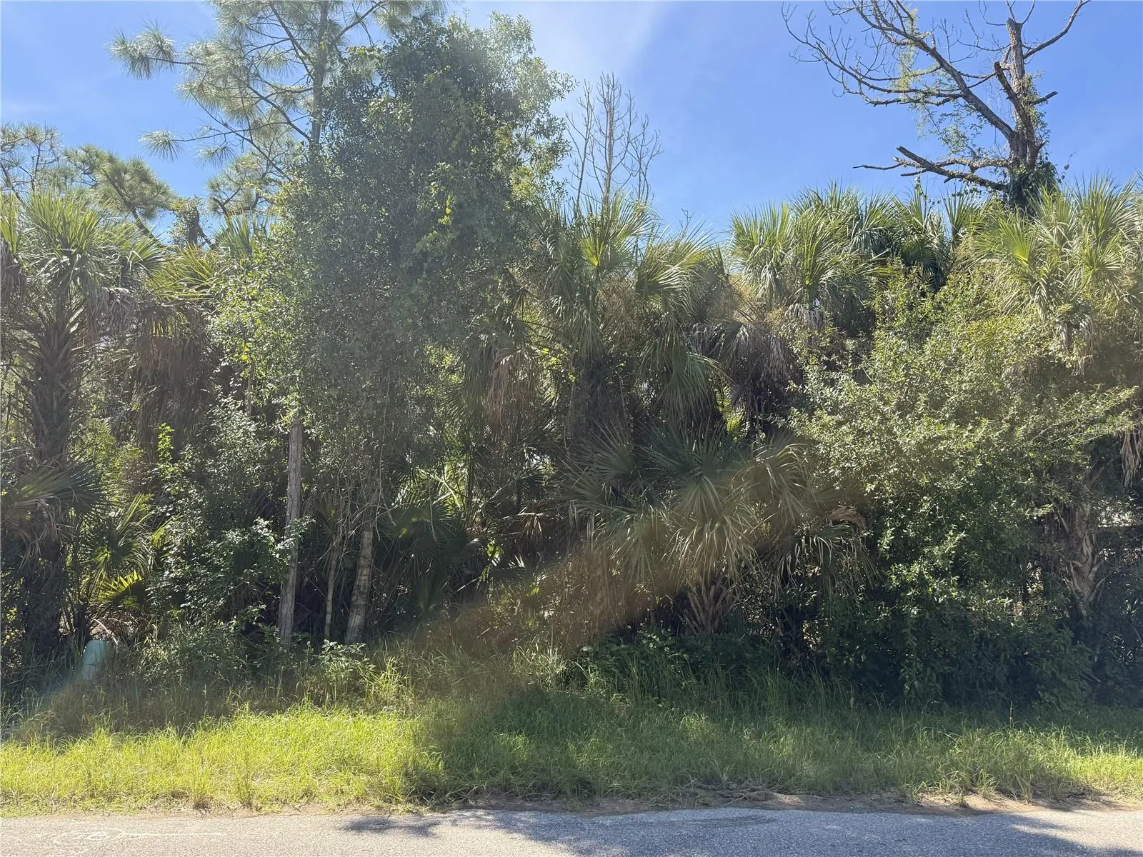 LOT 15 WALMSLEY AVE AVE