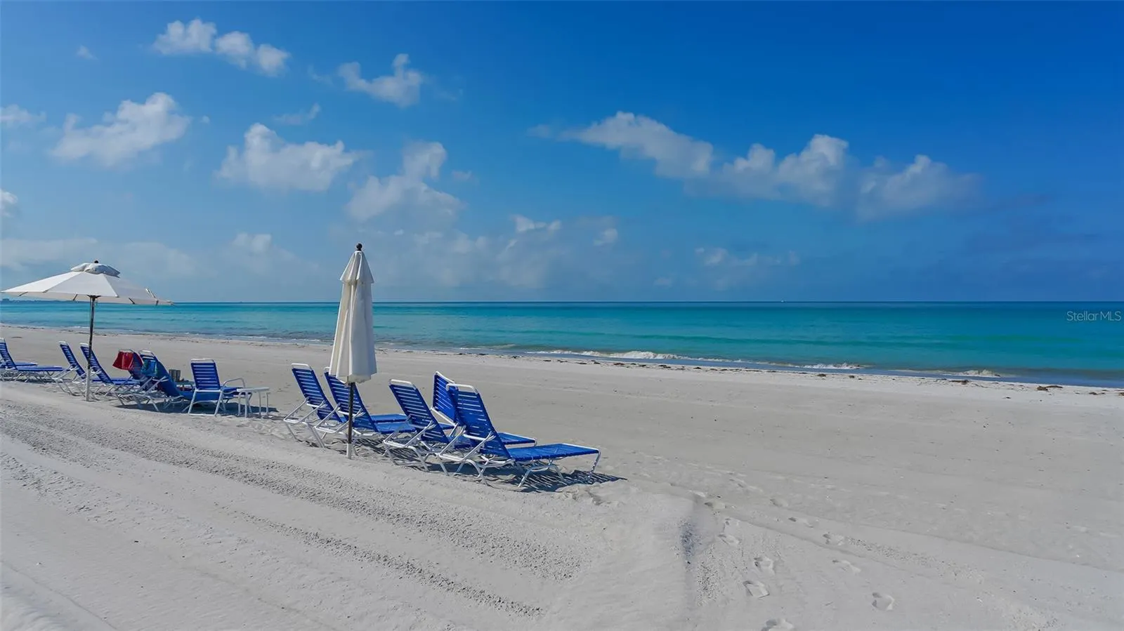 1445 GULF OF MEXICO DR #101 #101