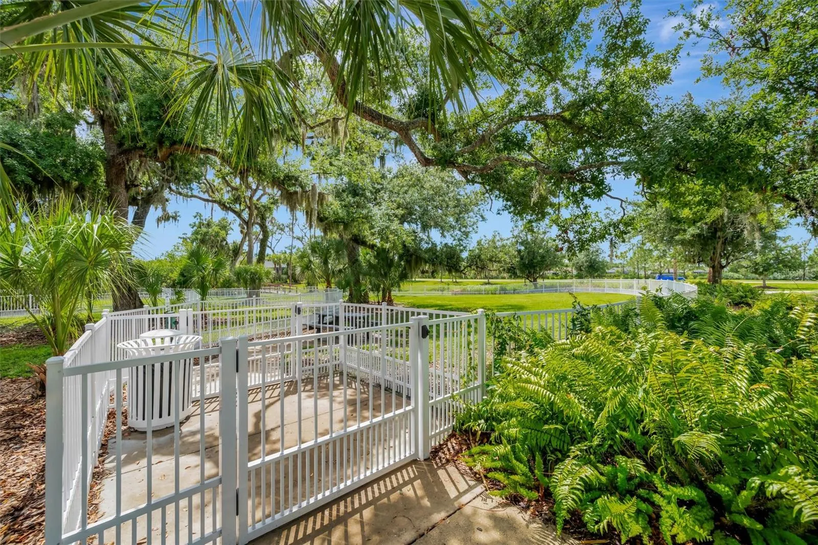 11115 SAND PINE LN