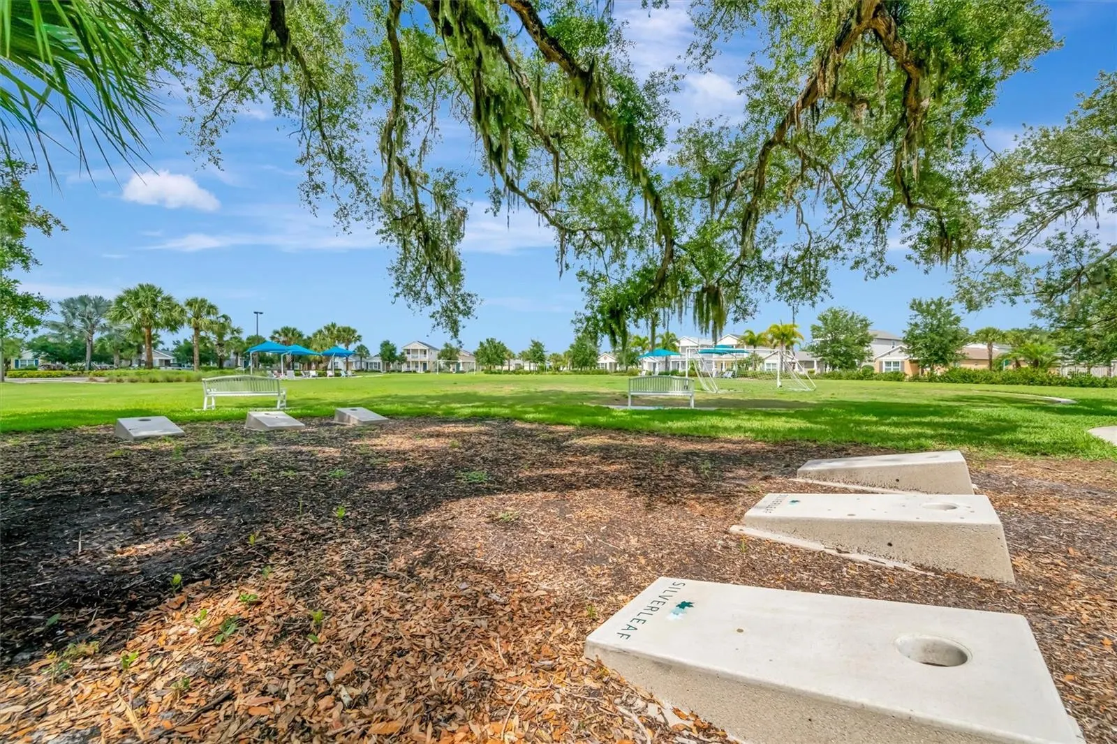 11115 SAND PINE LN