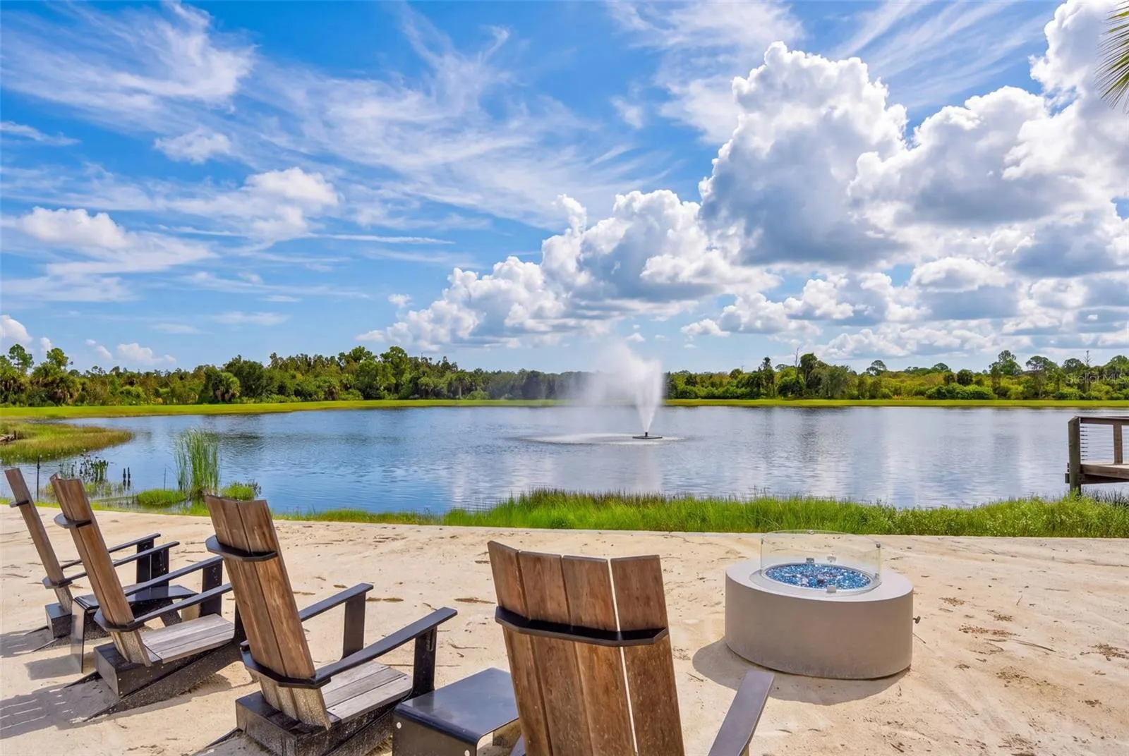 11627 MYAKKA BLUE DR