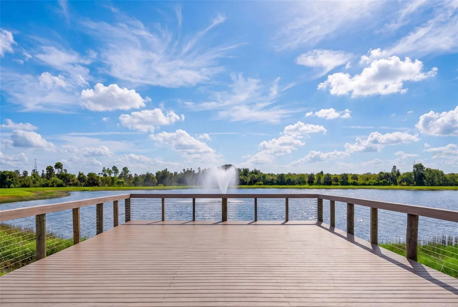 11627 MYAKKA BLUE DR