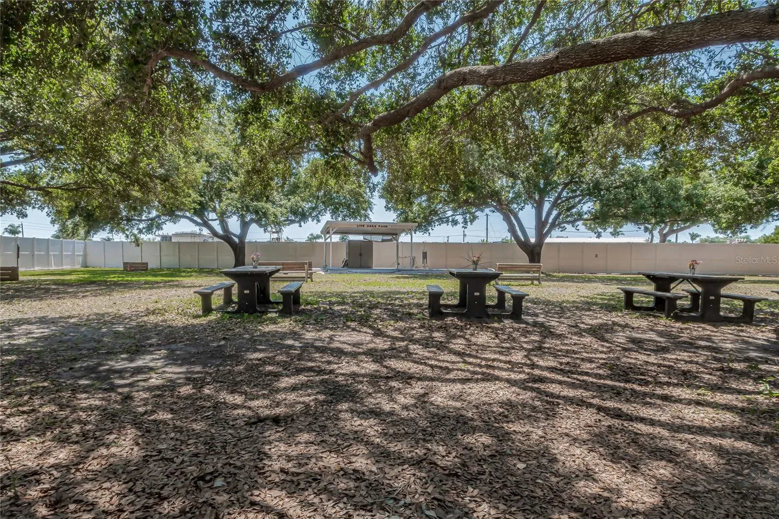 3329 EILEEN DR