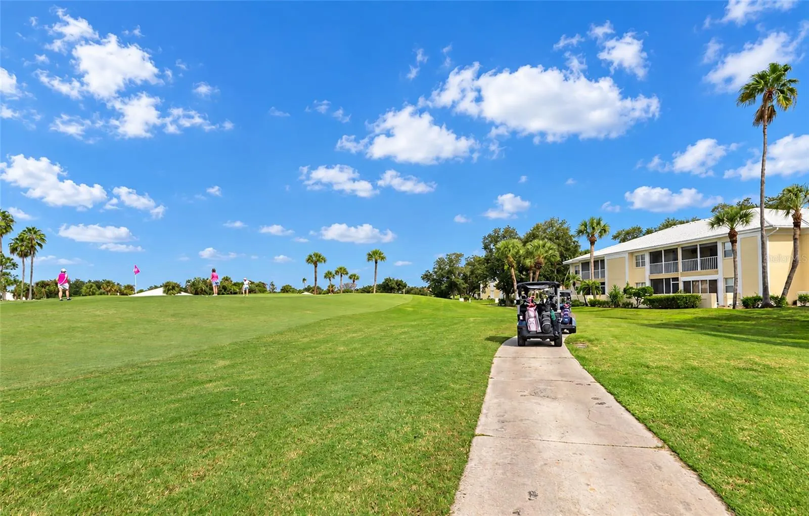 421 CERROMAR TER #469 #469
