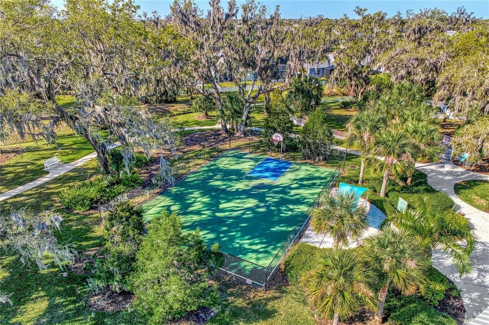 10934 SAND PINE LN