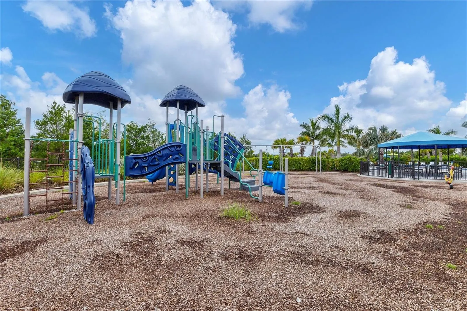 2321 BLUE MAHOE LN