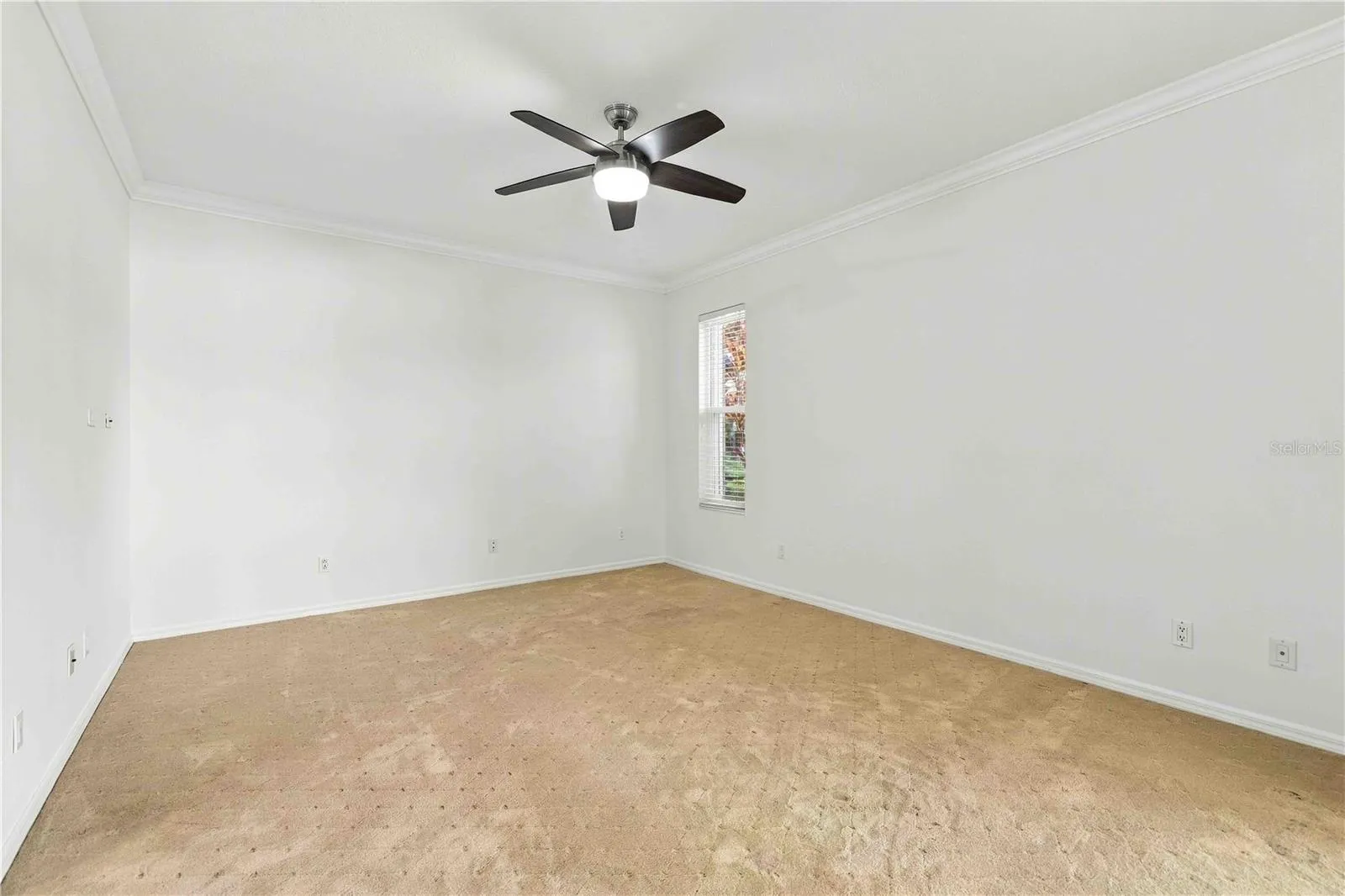 8216 ASHFORD FALLS CT
