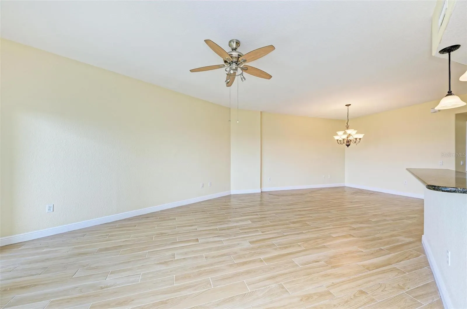 501 HABEN BLVD #505 #505