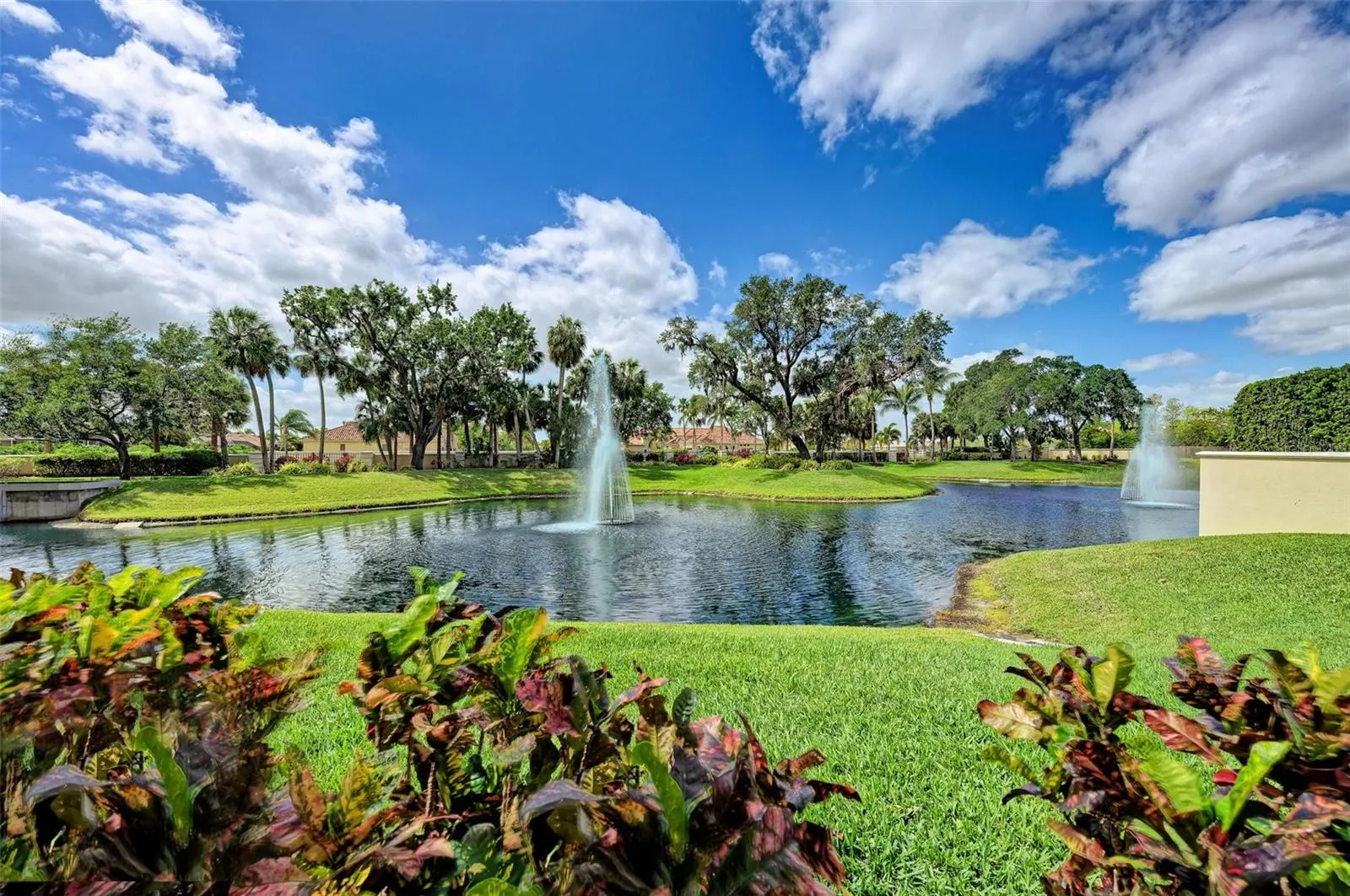 501 HABEN BLVD #505 #505