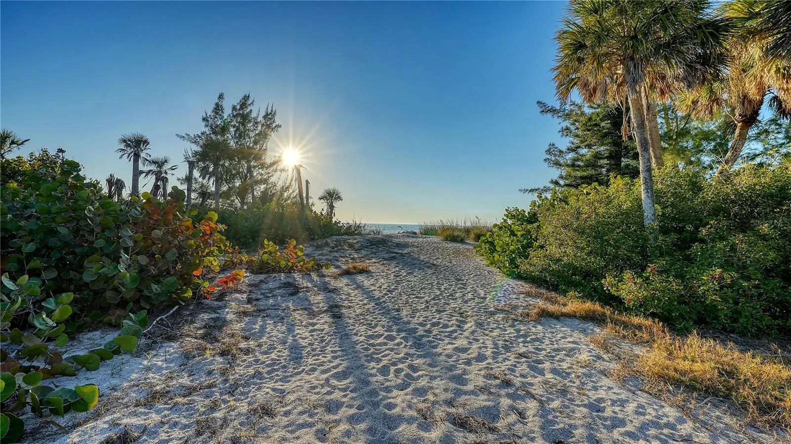 8017 MANASOTA KEY RD