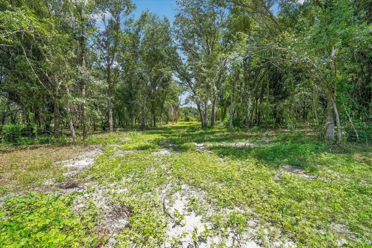 VERNA BETHANY RD