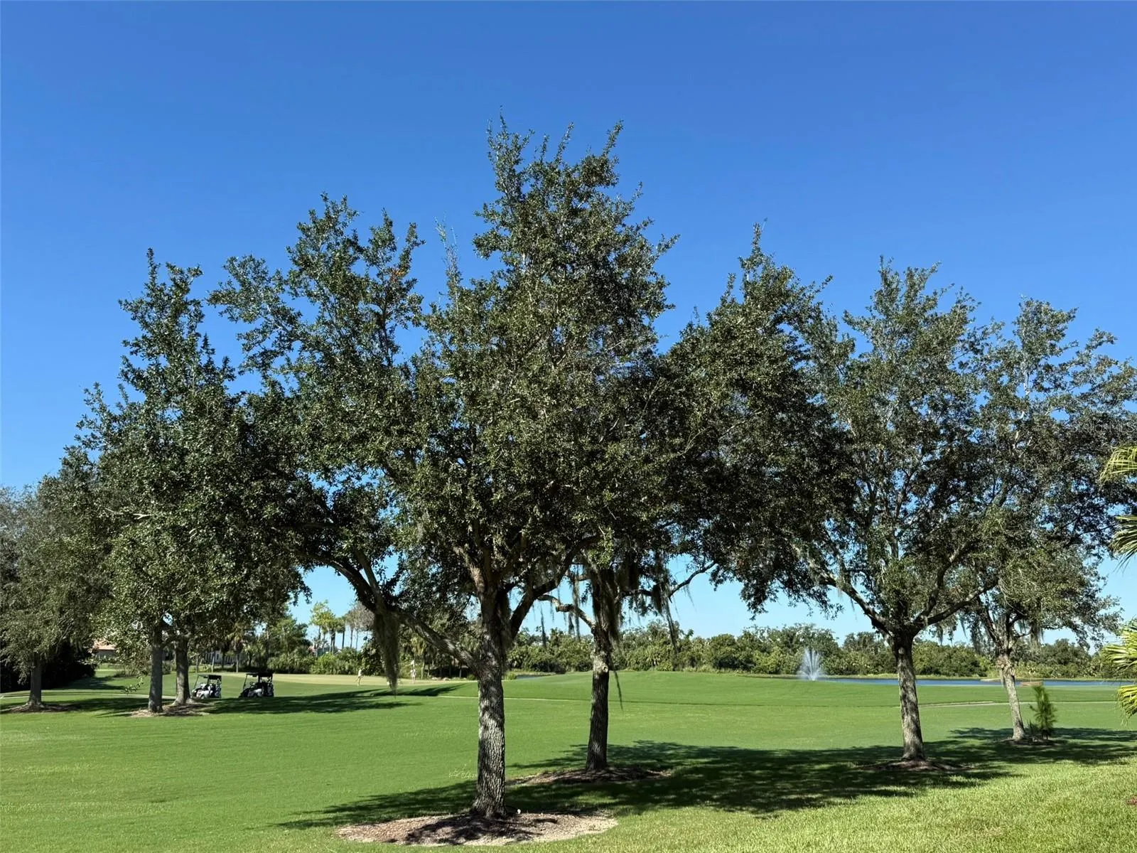 310 WINDING BROOK LN #102 #102