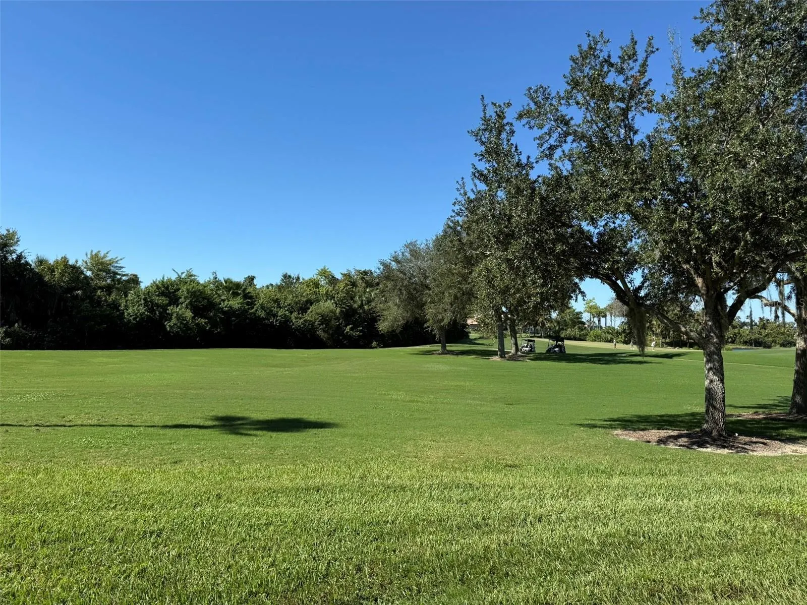 310 WINDING BROOK LN #102 #102