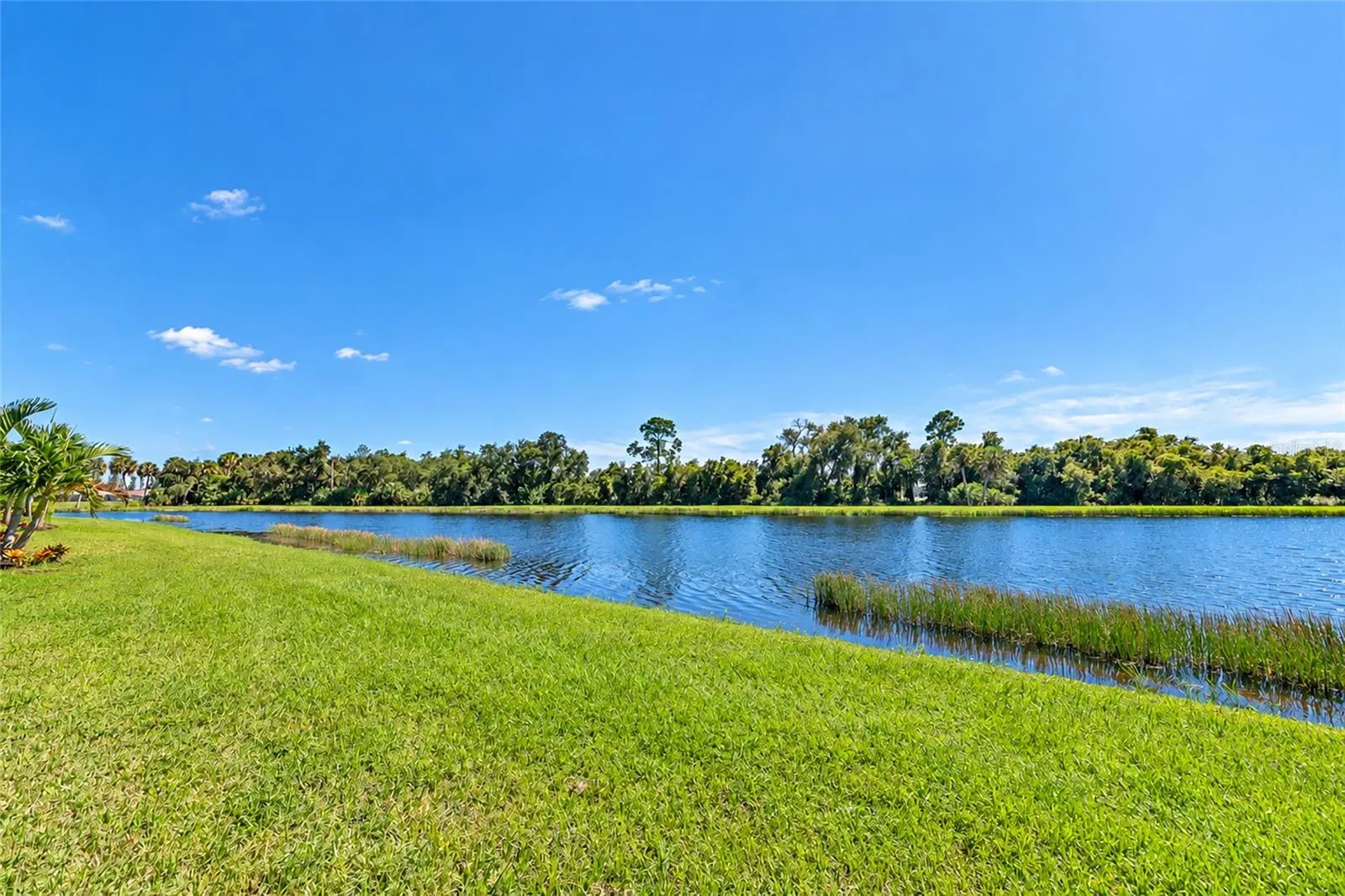 10378 MORNING MIST LN