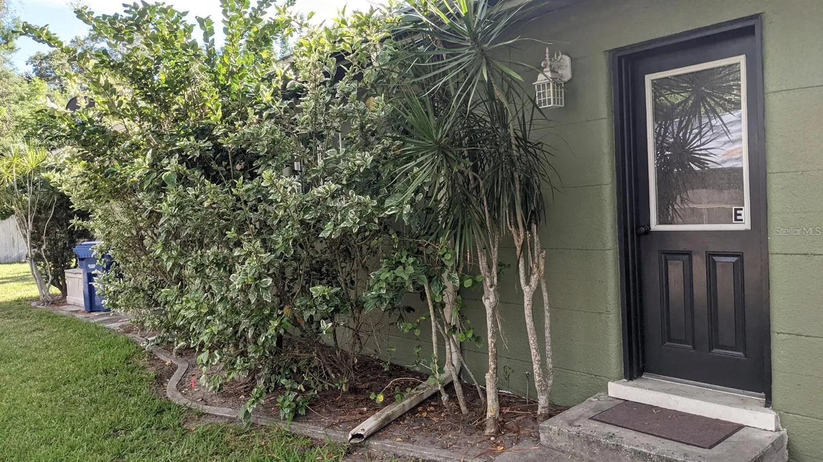 2104 PALM TER
