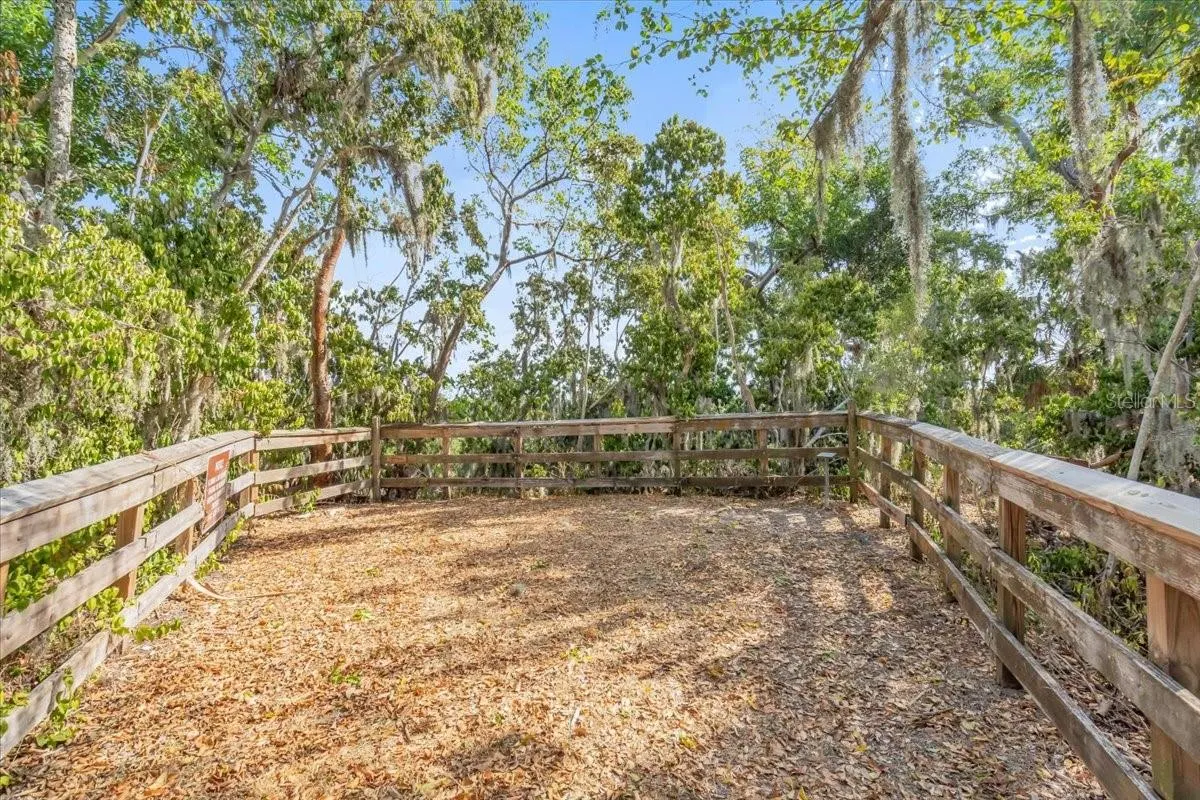71 ISLAND CT