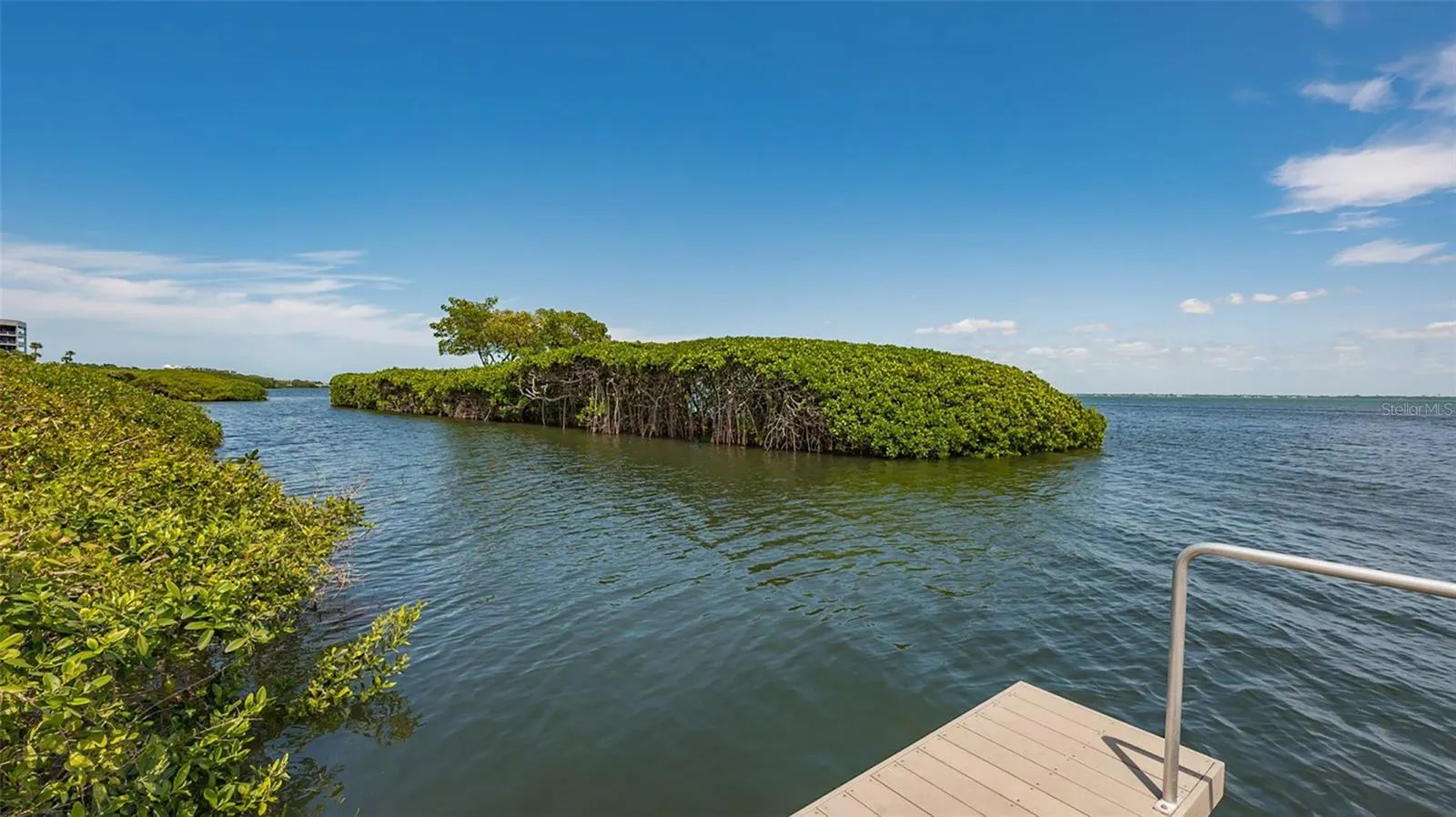 2110 HARBOURSIDE DR #523 #523