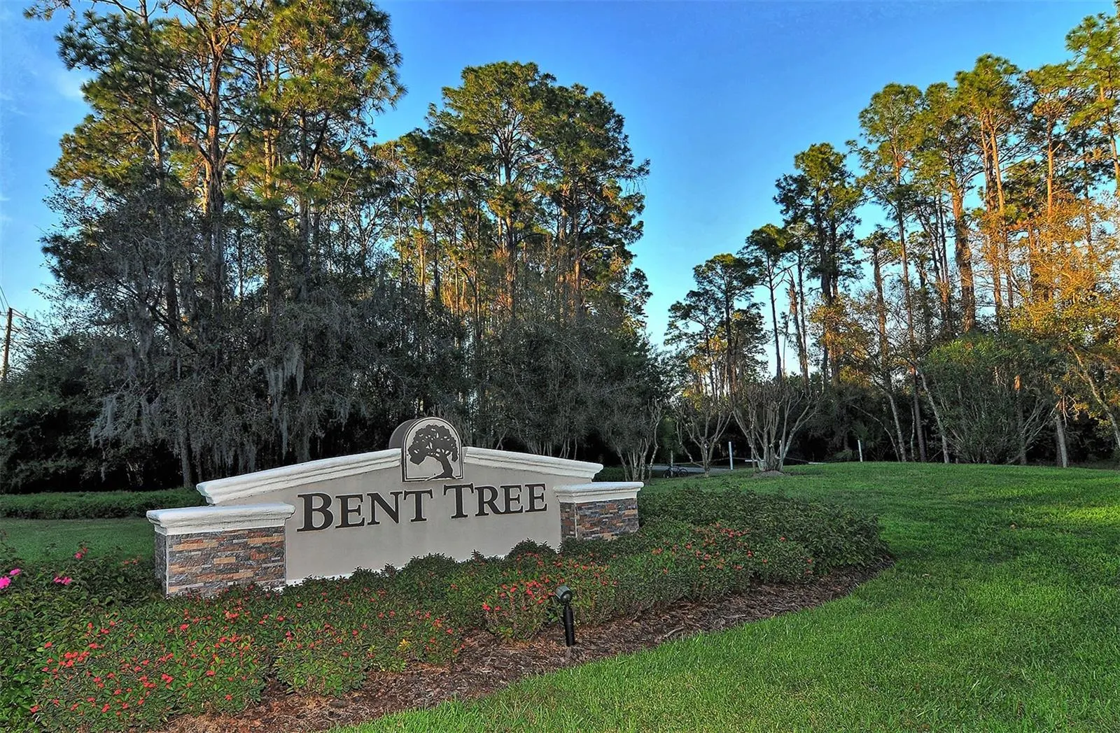 7348 SILVER FERN BLVD #6 #6