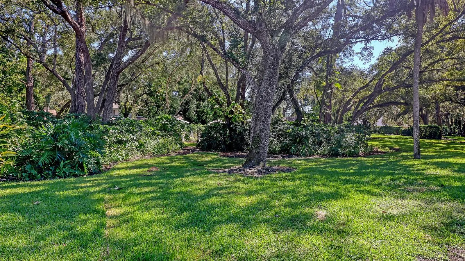 7348 SILVER FERN BLVD #6 #6