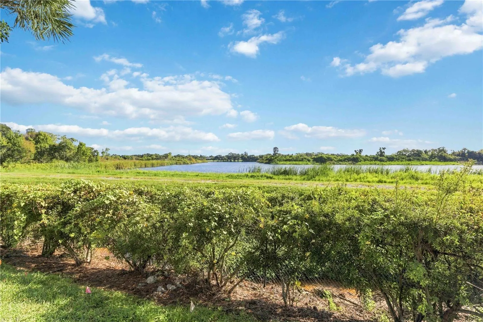 5691 KEY LARGO CT #5691 #5691