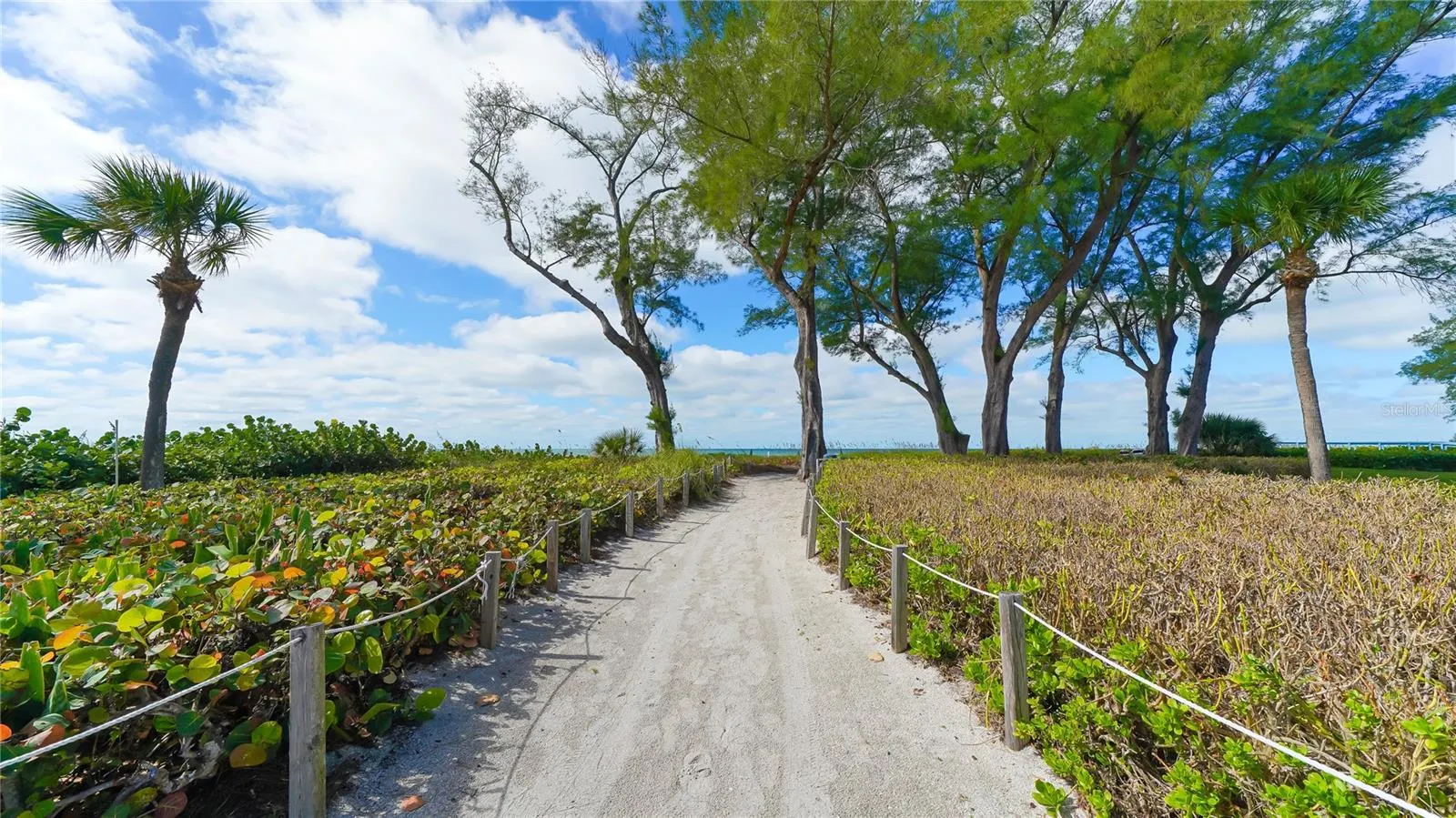 4800 GULF OF MEXICO DR #205 #205